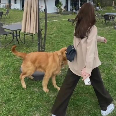 玉腿花拳