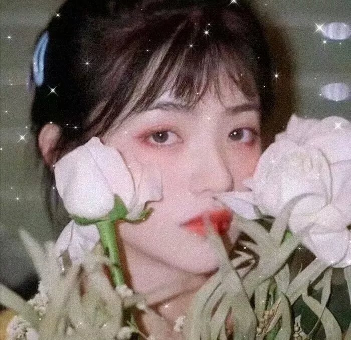 花与蛇